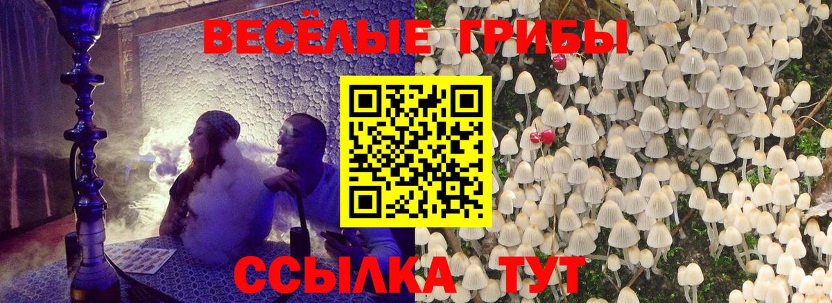 Галлюциногенные грибы GOLDEN TEACHER Назарово